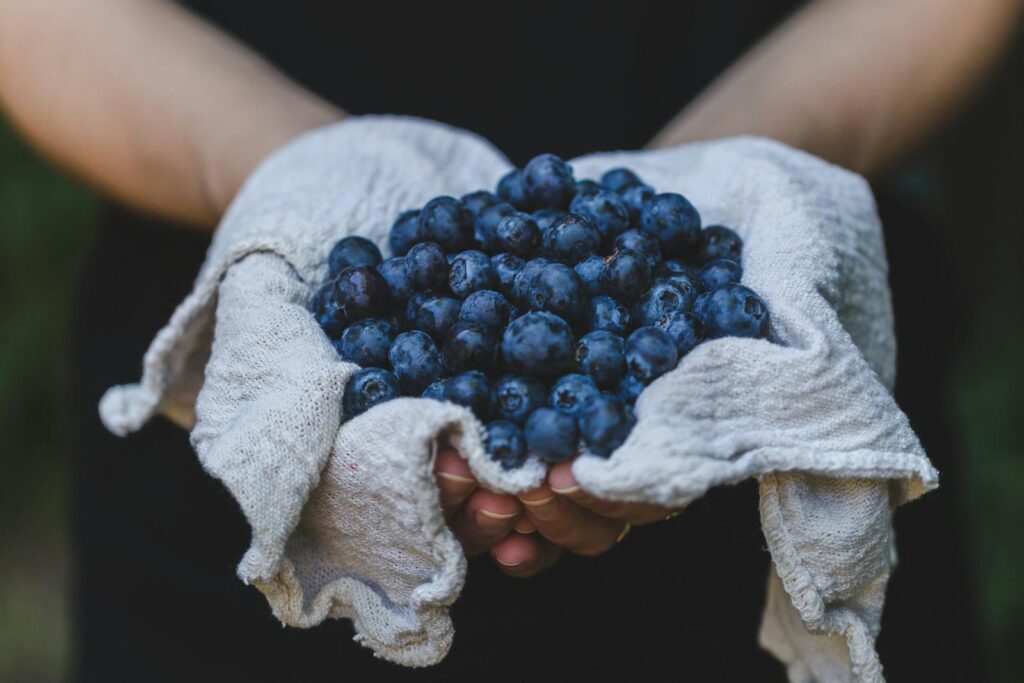 A handful of fresh, ripe blueberries cradled in a cloth, perfect for healthy cooking.